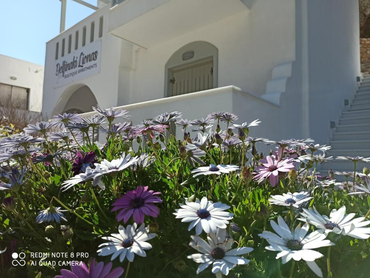 Villa Delfinaki Lionas Exterior photo