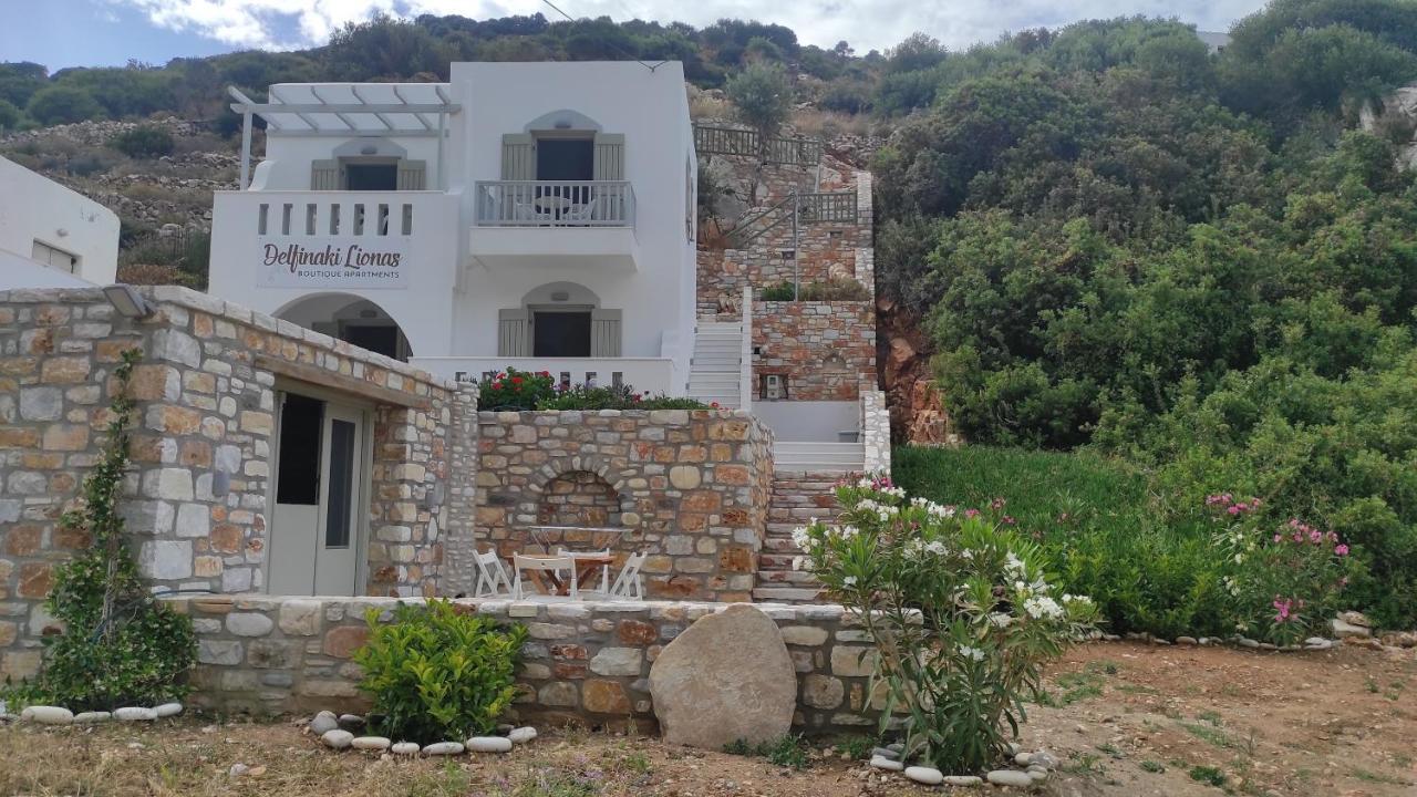 Villa Delfinaki Lionas Exterior photo