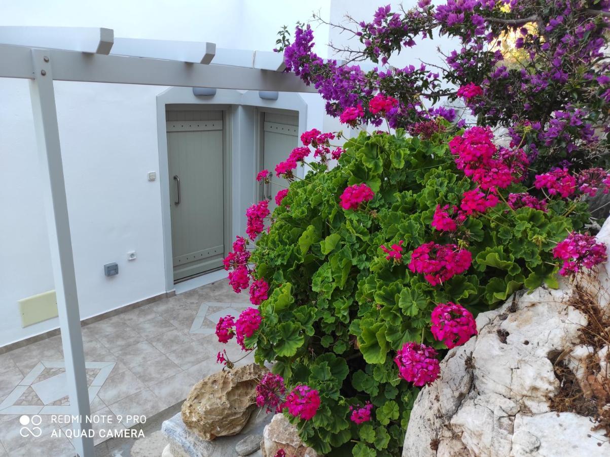 Villa Delfinaki Lionas Exterior photo